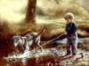 boybystream